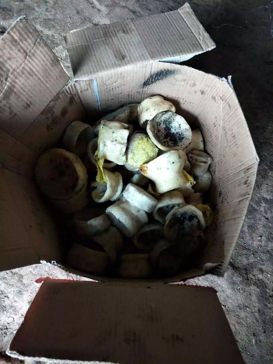 这个名叫云彩的小男孩,