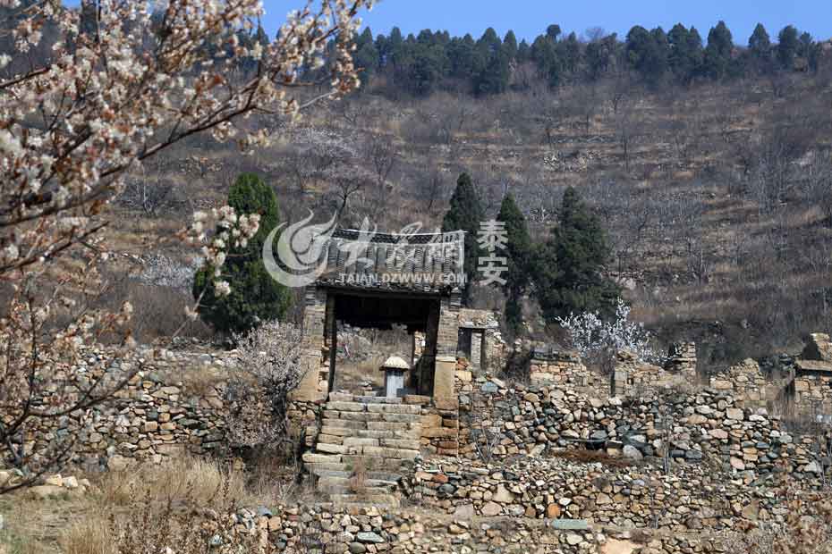 岱岳区满庄镇西林云泉庵