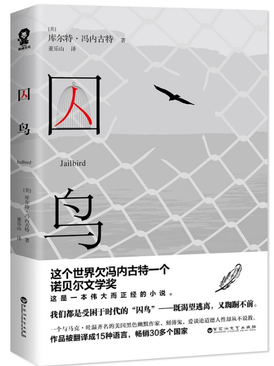 《囚鸟 我们都是受困于时代的"囚鸟"