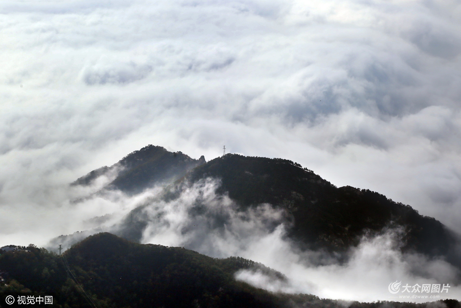 10月25日，山东省泰安市，一场降雨过后，群山被白云浓雾吞没，奔腾翻涌极为壮观。