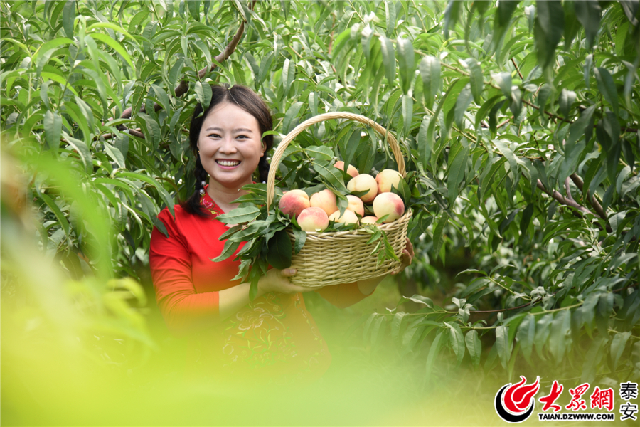 首届“中国农民丰收节”优秀摄影作品展播