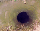 4.gif