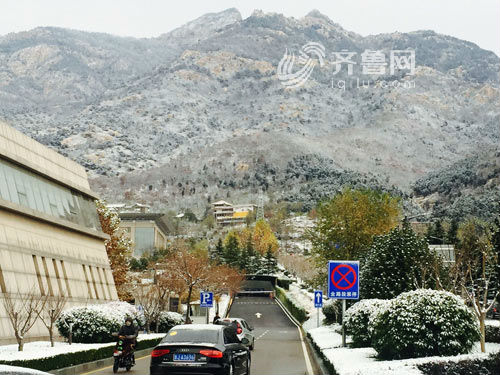 齊魯網泰安11月22日訊(記者 王迅)11月21日晚,泰安市區降下初雪