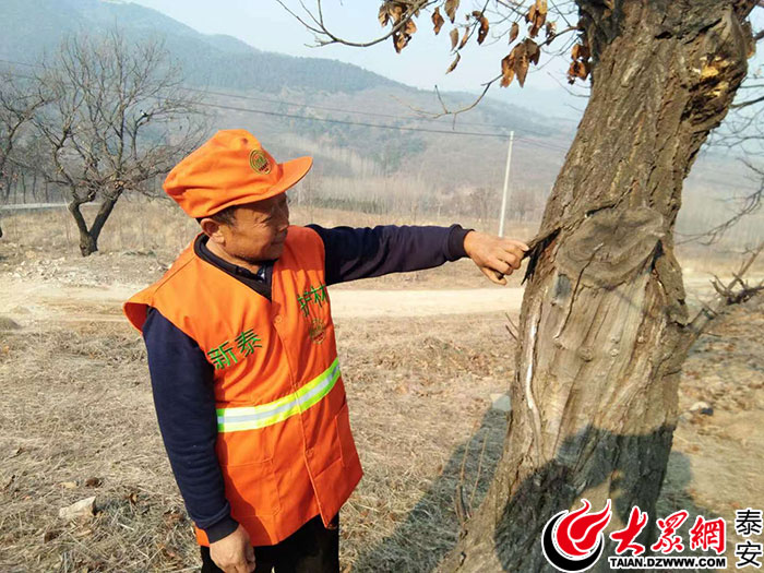 尽职尽责的大山卫士—新泰太平山林场护林员王清祥