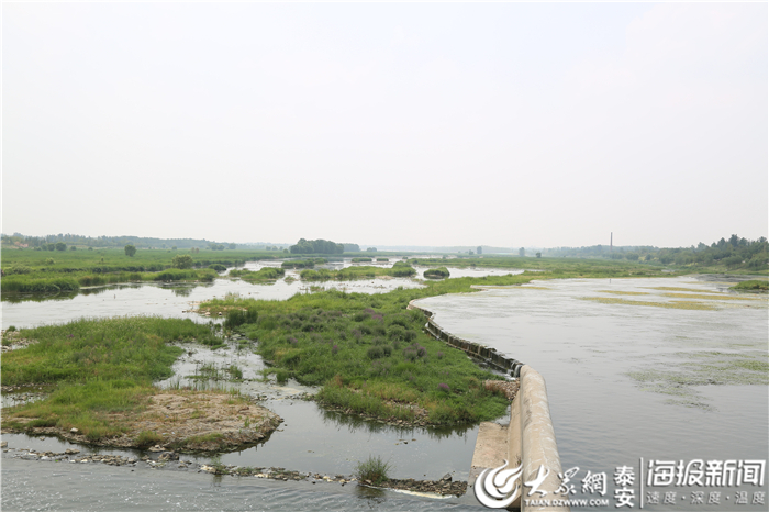 如詩如畫如歌 徂徠山汶河景區流淌動人生態旋律_首頁泰安新聞_大眾網