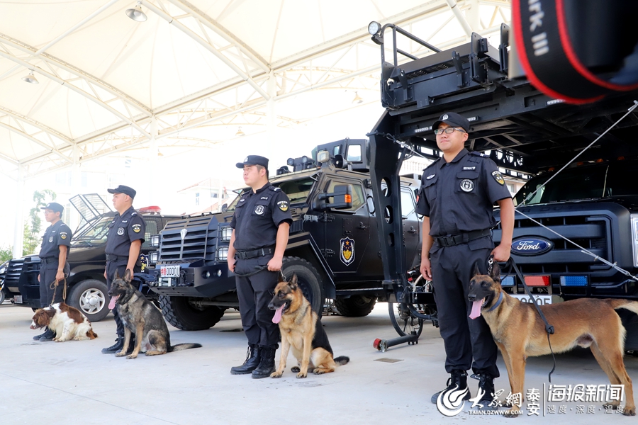 泰安特警图片