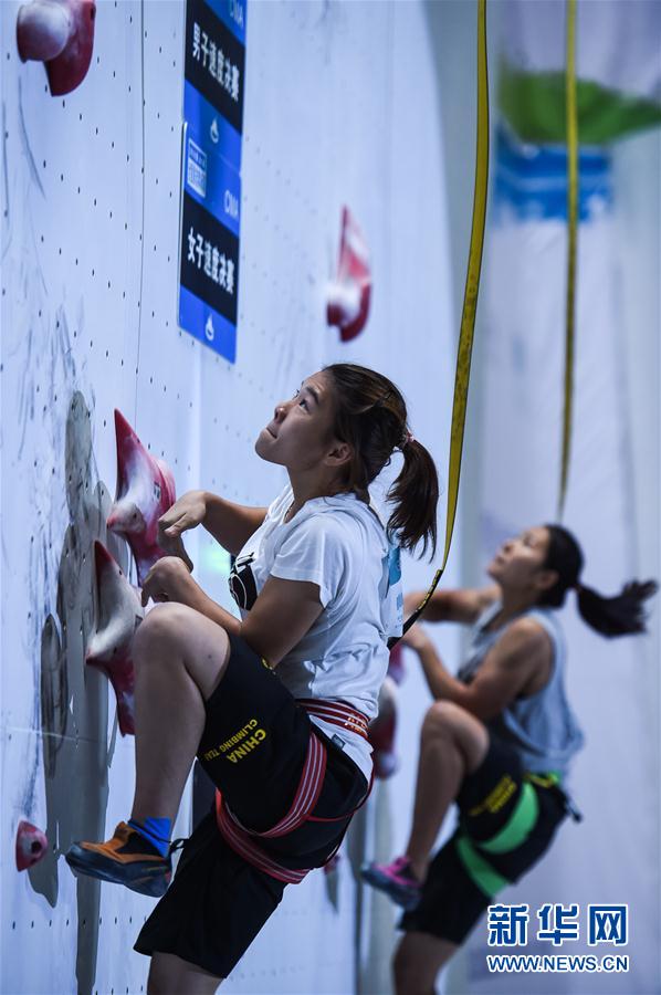 (体育)(3)攀岩——全国锦标赛:女子速度赛赛况