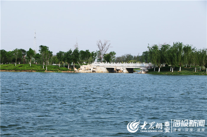 4月23日,一场春雨刚过,只见宁阳县洸河湿地两岸又多了许多来散步游玩